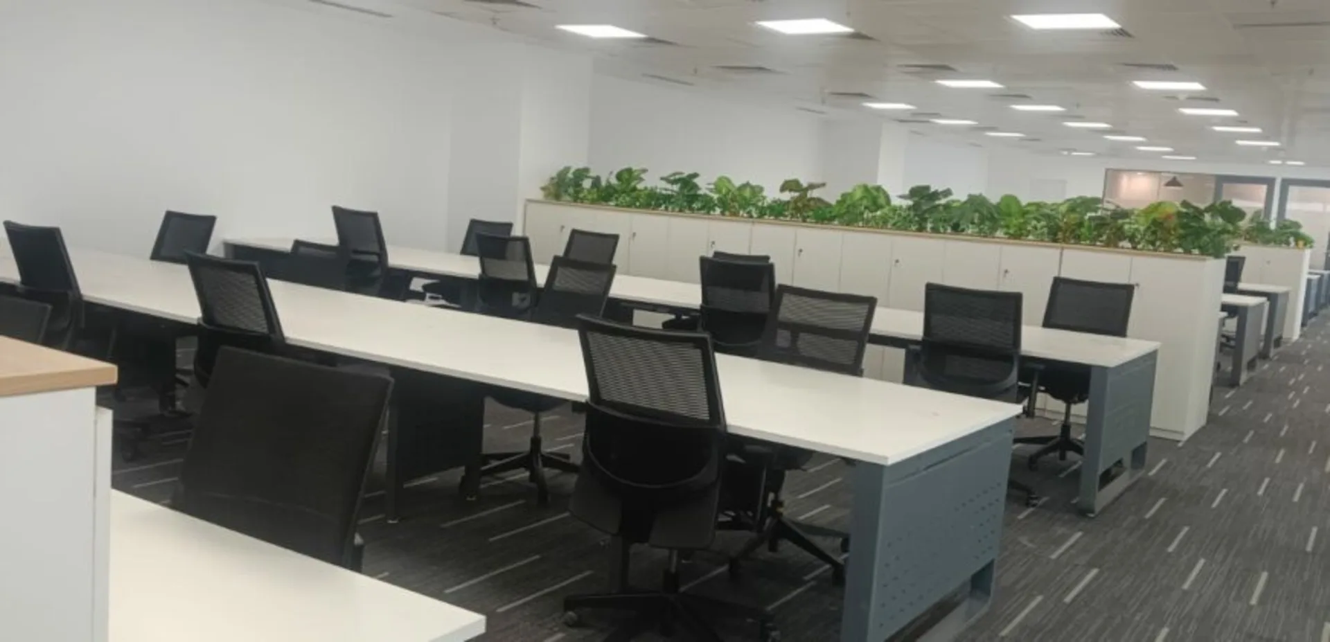 Noida One Noida Sector 62