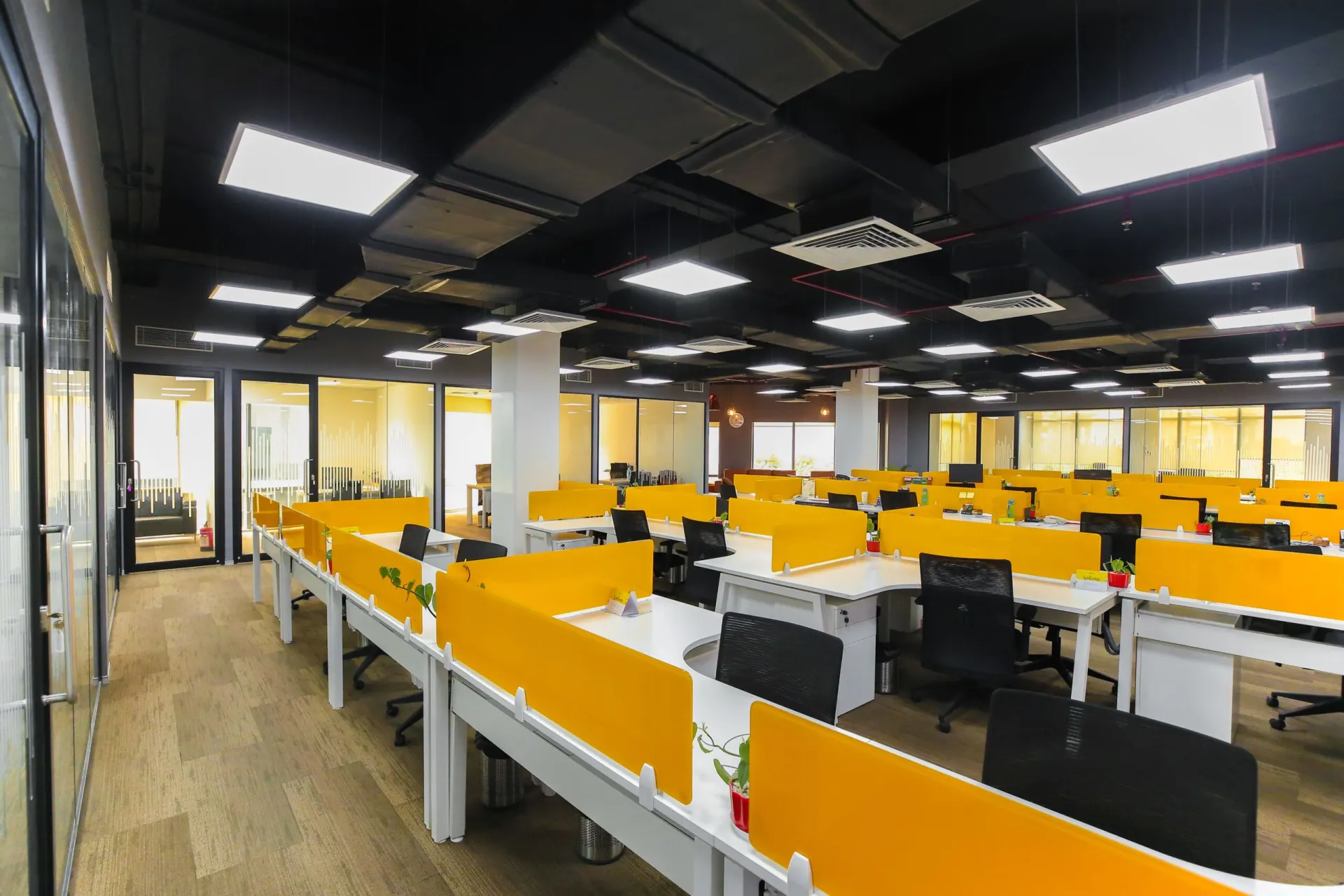 Spice Money Building