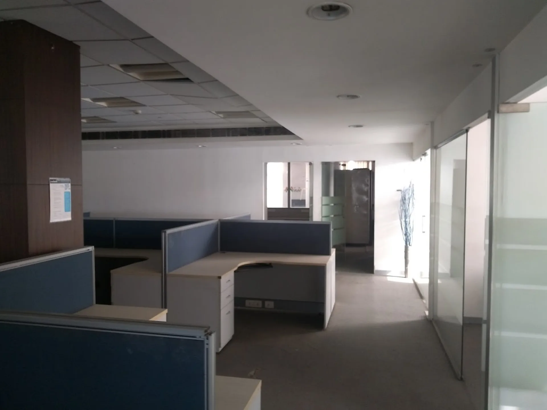 NCPL Web Tower Noida