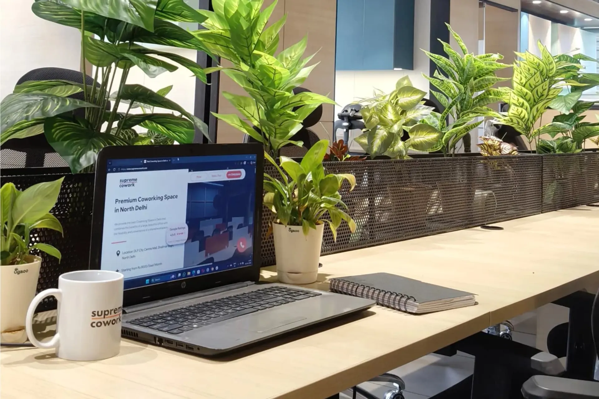 Supreme Cowork NSP Delhi